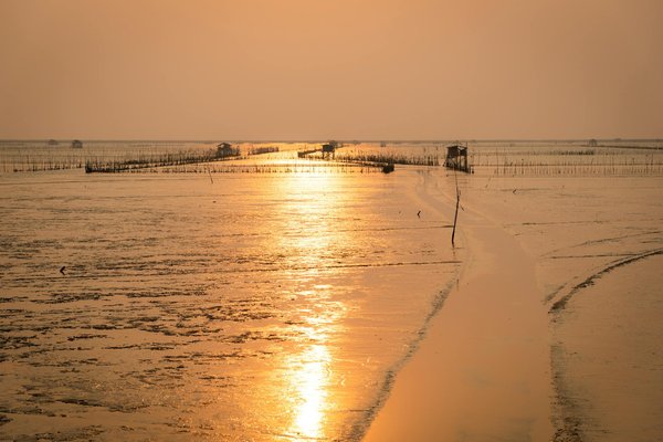 Hoe kun je het meeste uit je bezoek aan de Keukenhof halen in het voorjaar?